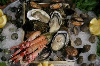 /album/foto-cagliari-restaurace-michelin/fruti-di-mare-jpg/